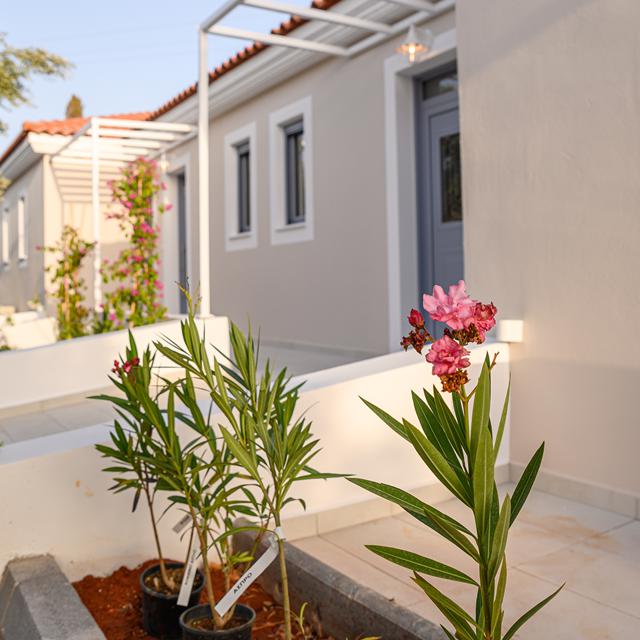 Dionysos Suites