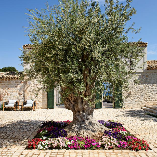 Poggio Leano Resort