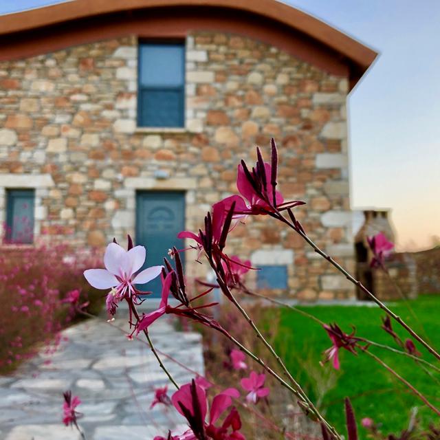 Estrella Villas