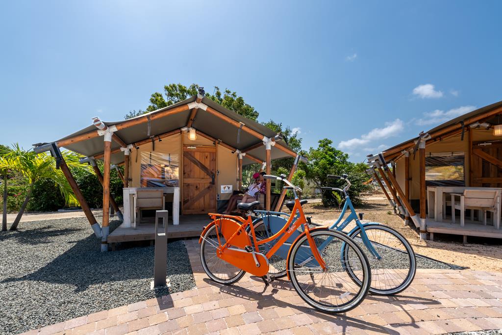 68F27DD43F75A95D47AE6153B6355CD0