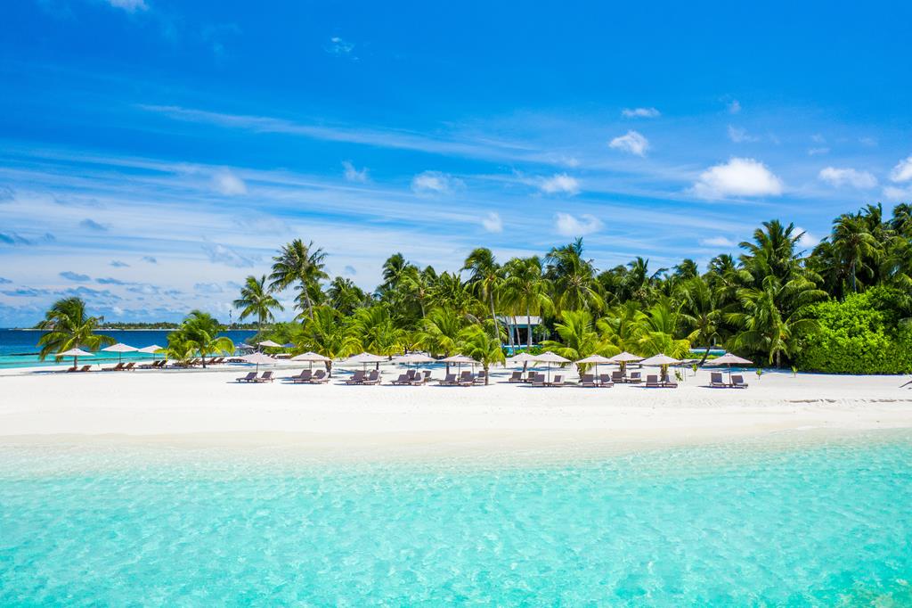 895197E29FD96399DD615E86CB1562B2