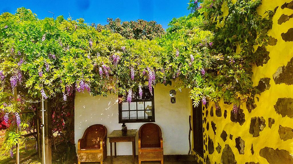 D4C37DCC90F1F245AE1CF0F5D0A194A8