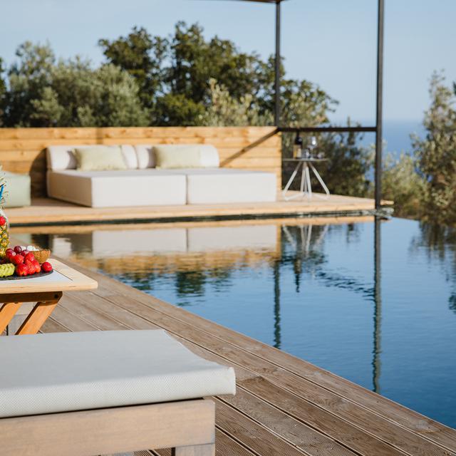 Five Olive Dream Trip