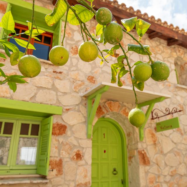 Lithina Villas