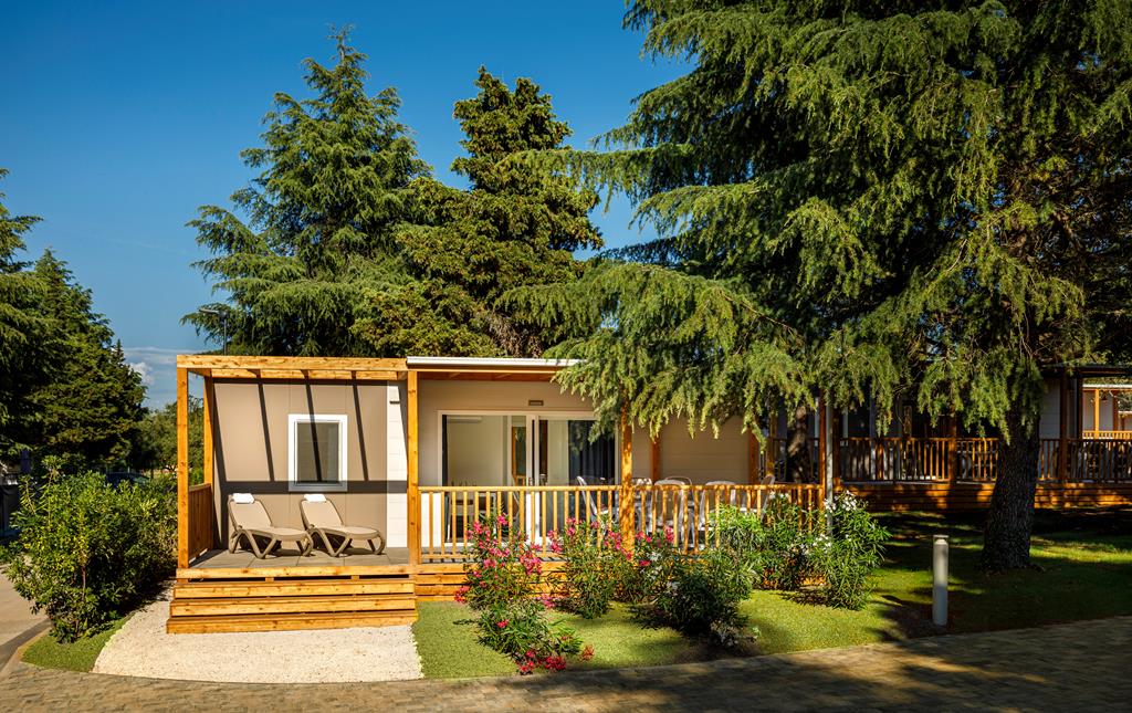 20BC80A6FF614744EA069E2D169BD06C