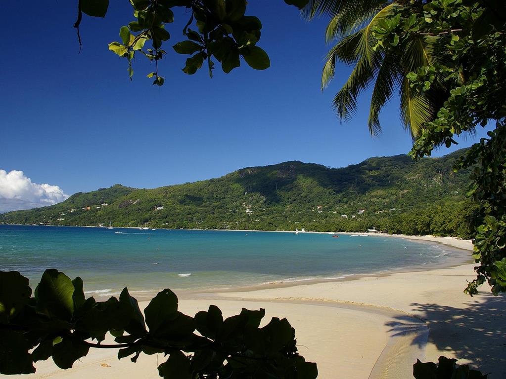 4B3C8A70636731B947D5607B60348BE0