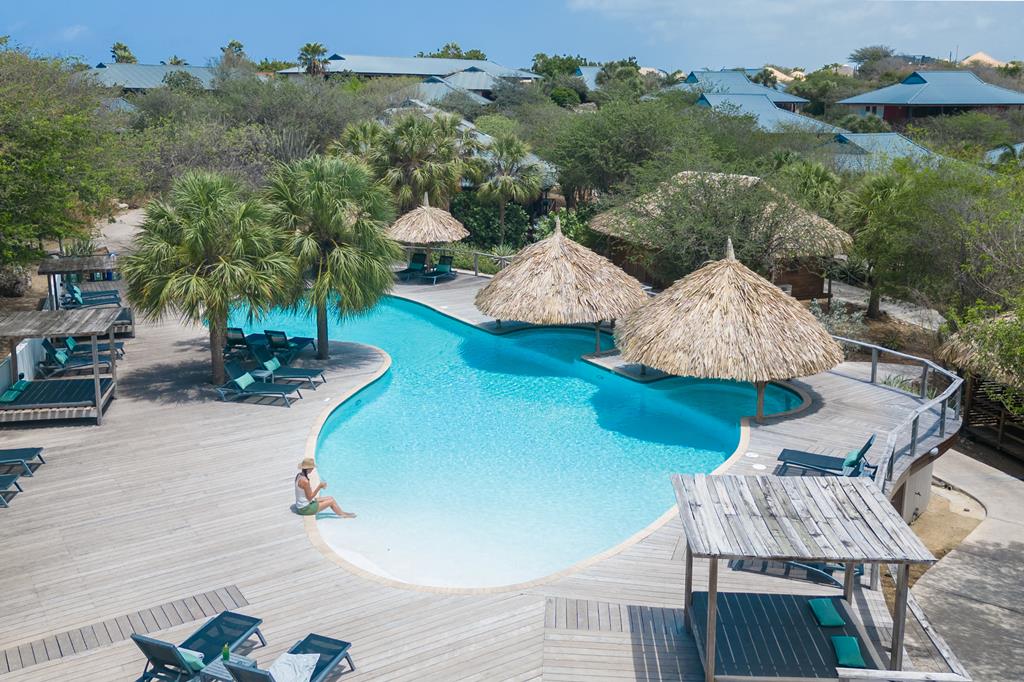 1ACF4D1C48A33995A5CDF7C93D552F67