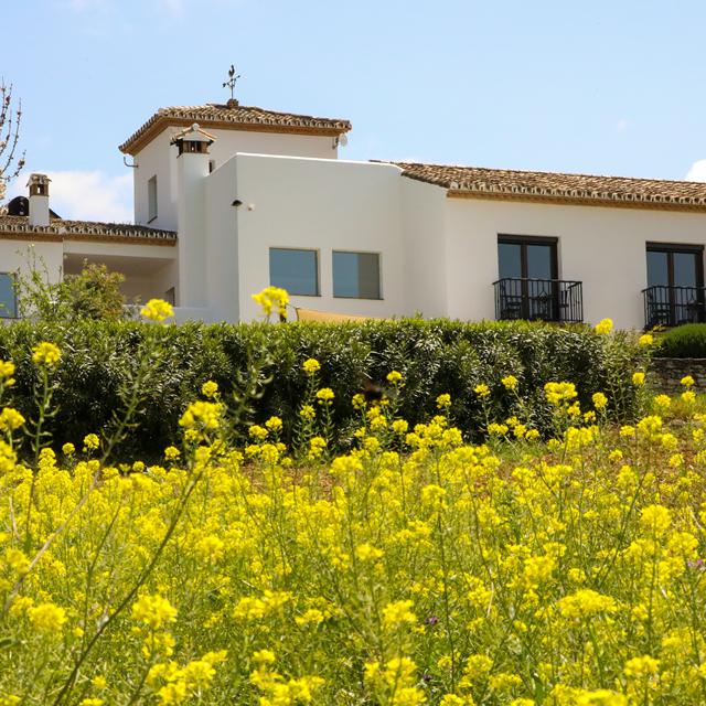 Arriadh Hotel